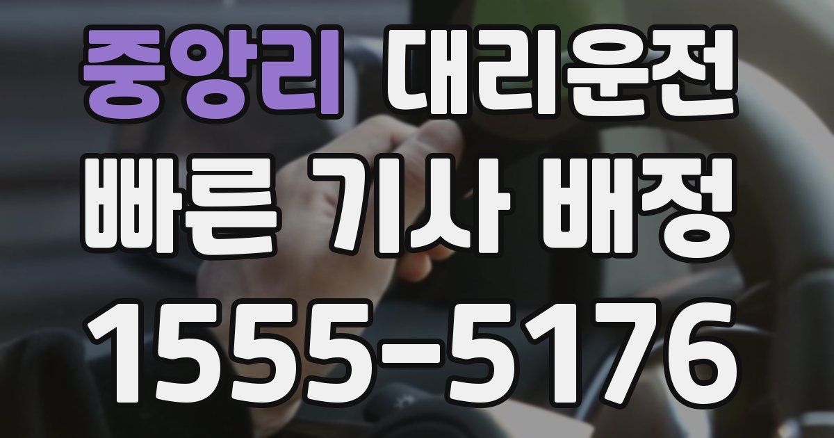 일일대리기사