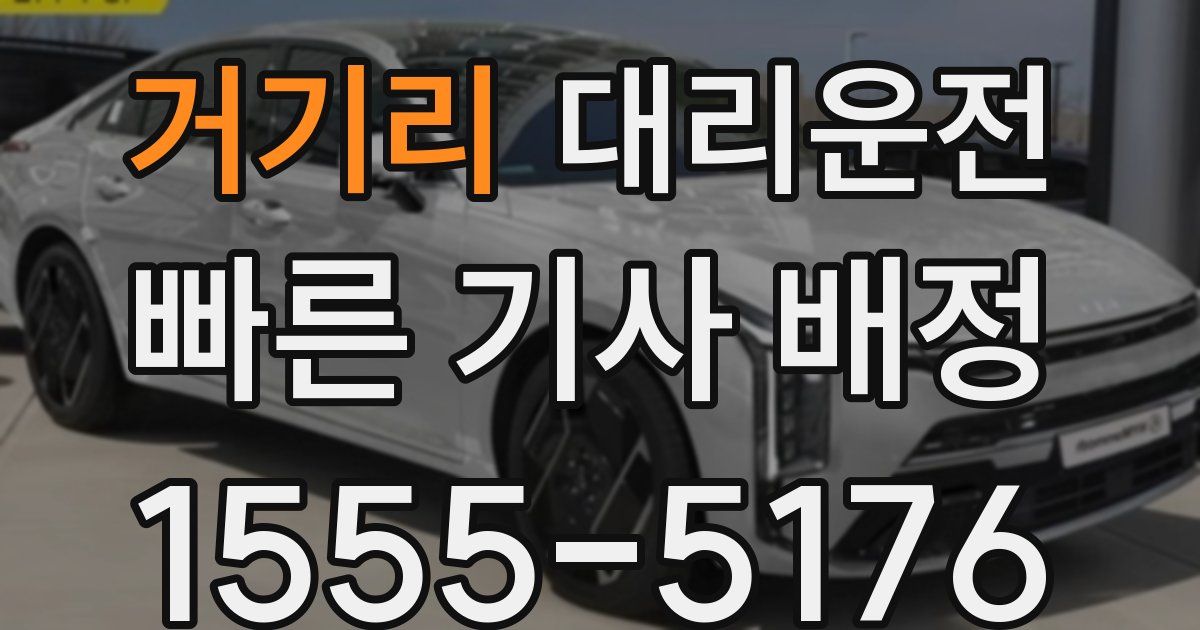일일대리기사