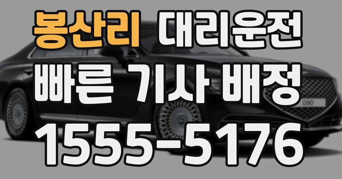 일일대리기사
