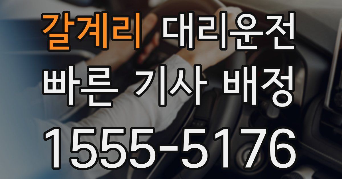 일일대리기사