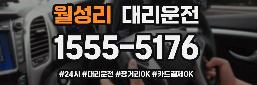 월성리 대리운전