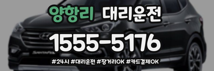 양항리 대리운전