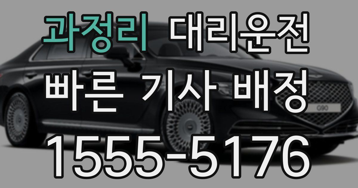 일일대리기사