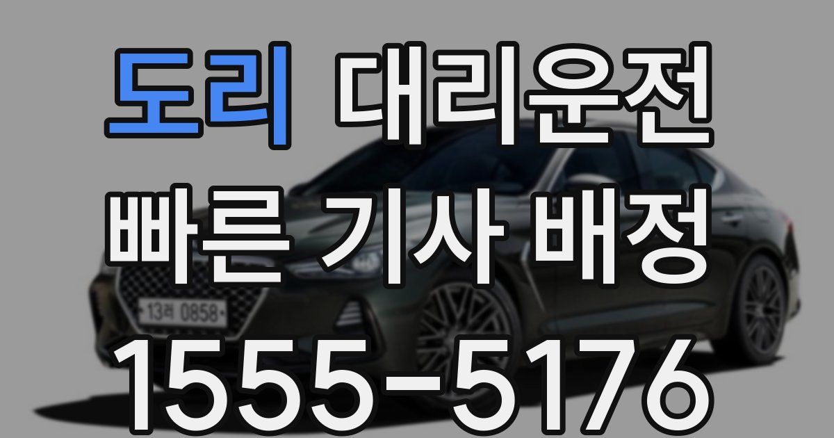일일대리기사