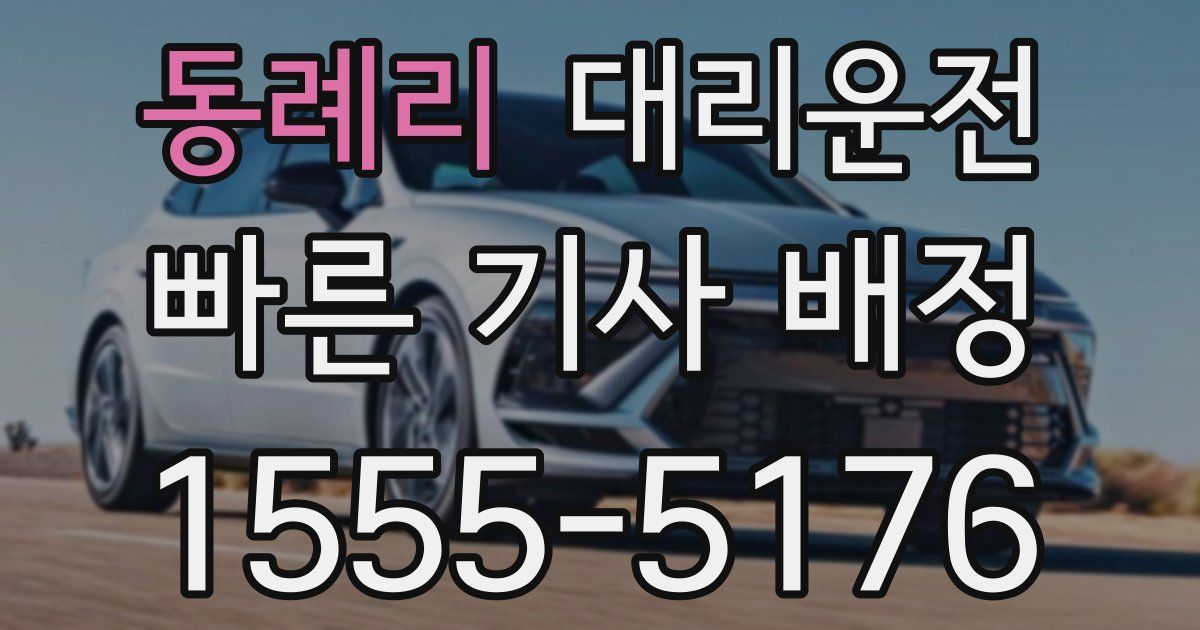 일일대리기사