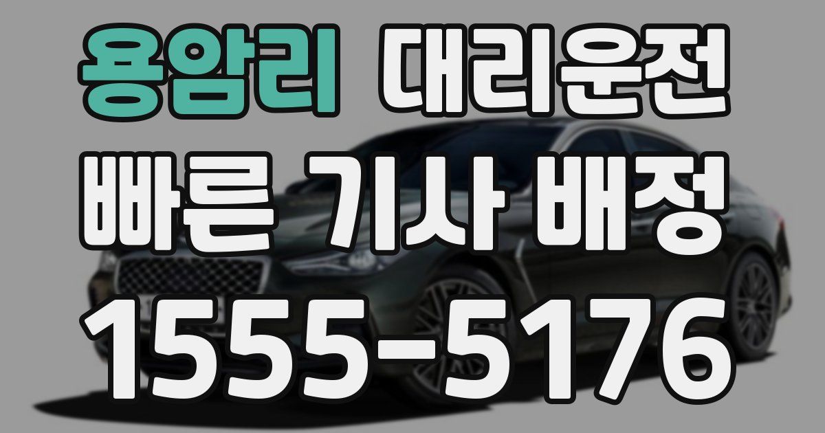 일일대리기사