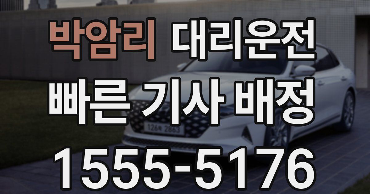 일일대리기사
