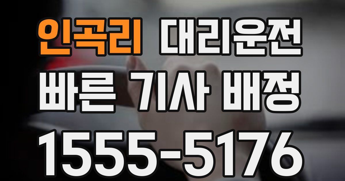 일일대리기사