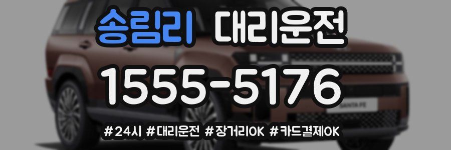 송림리 대리운전