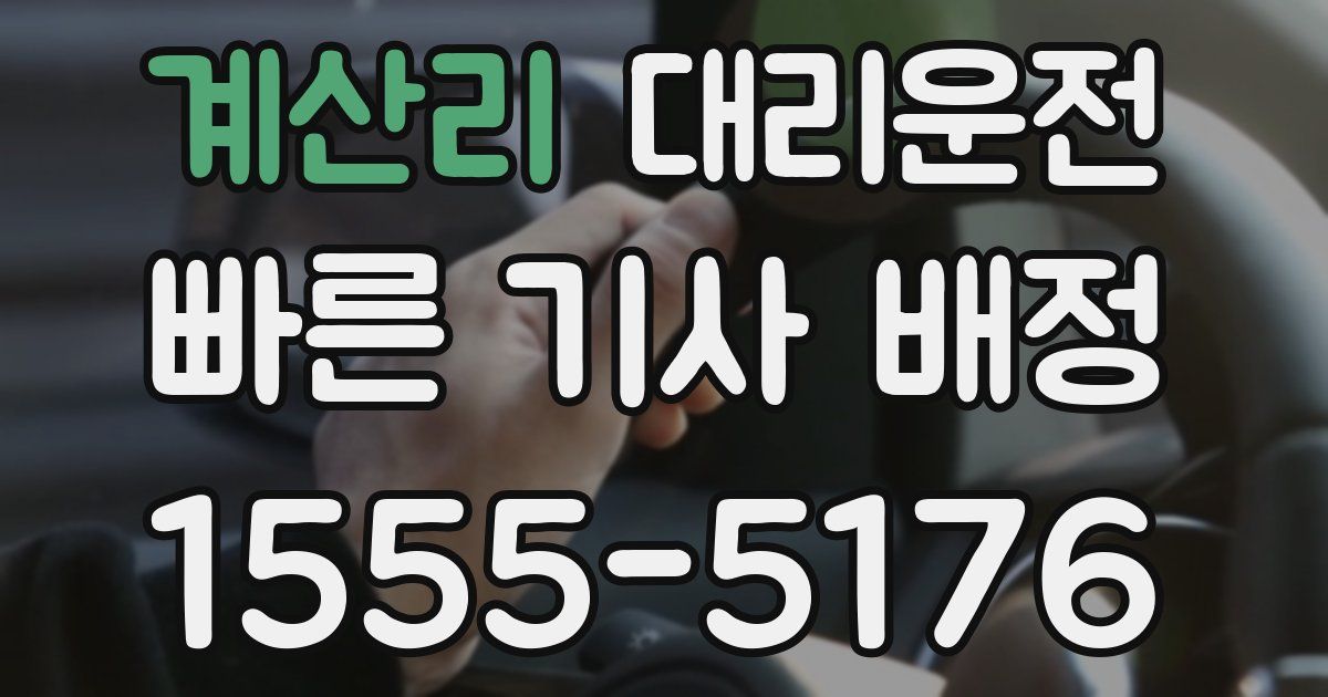 일일대리기사