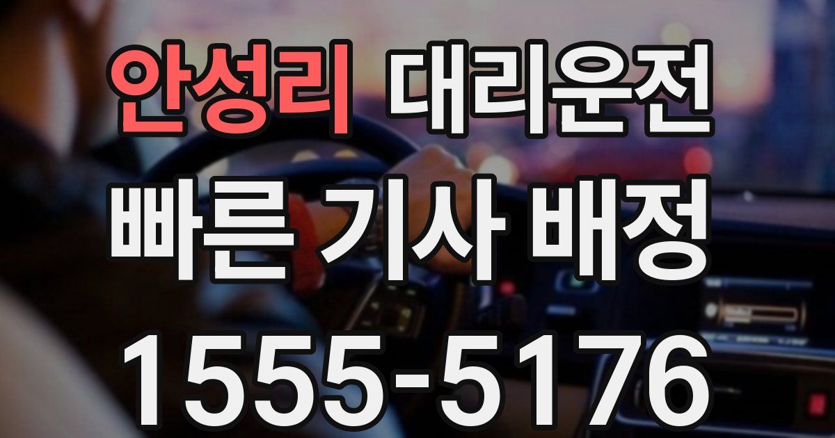 일일대리기사