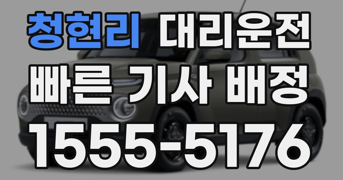 일일대리기사