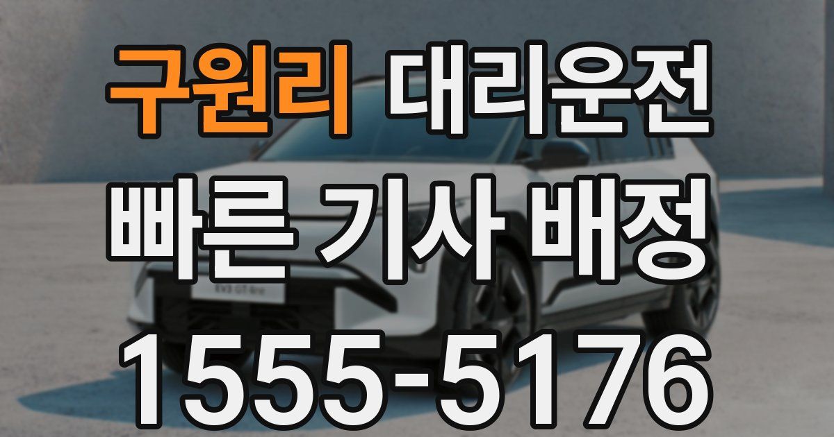 일일대리기사