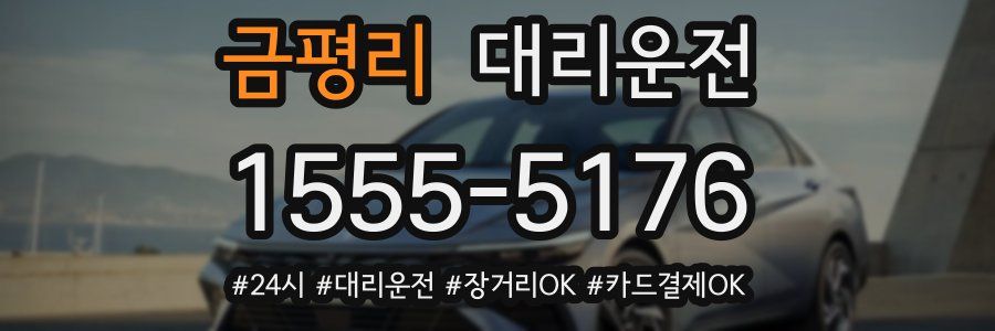 금평리 대리운전