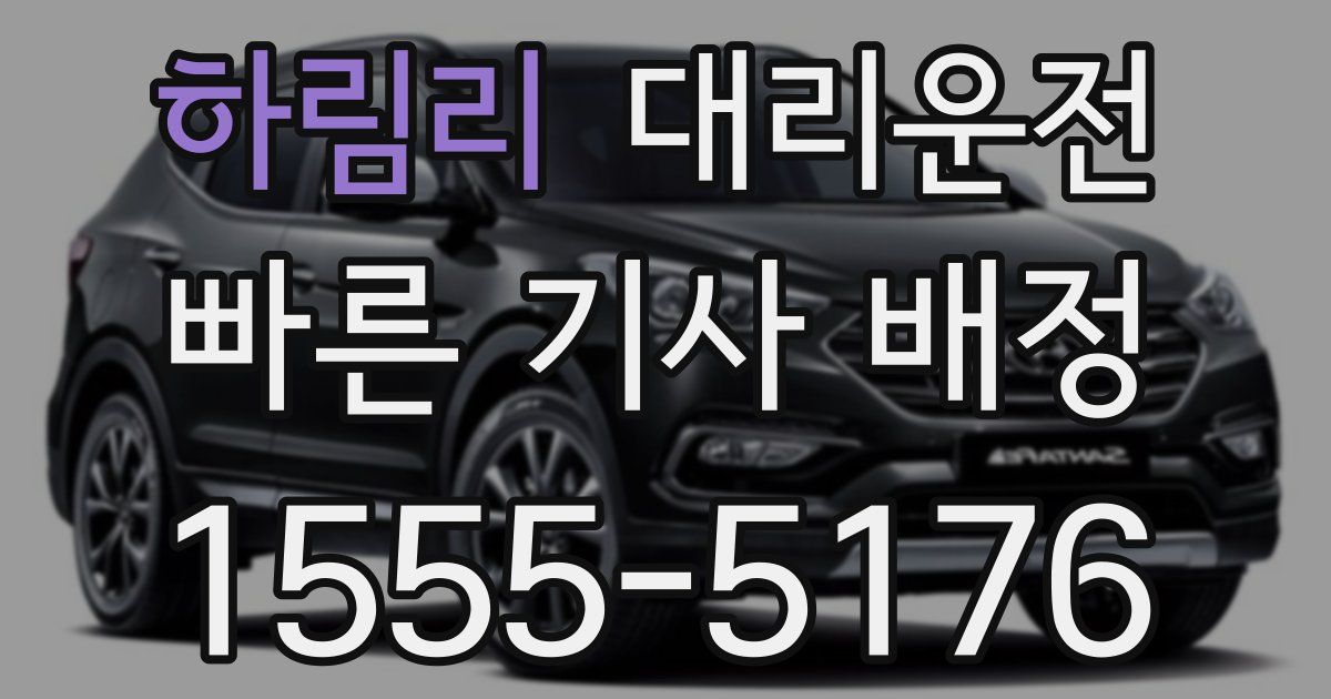 일일대리기사