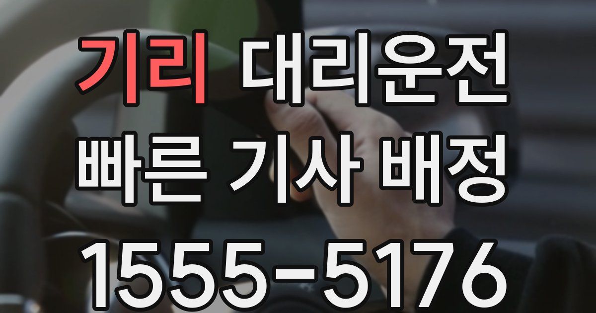 일일대리기사