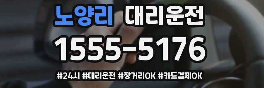 노양리 대리운전