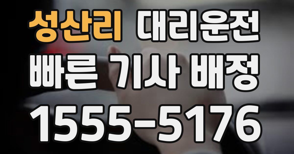 일일대리기사