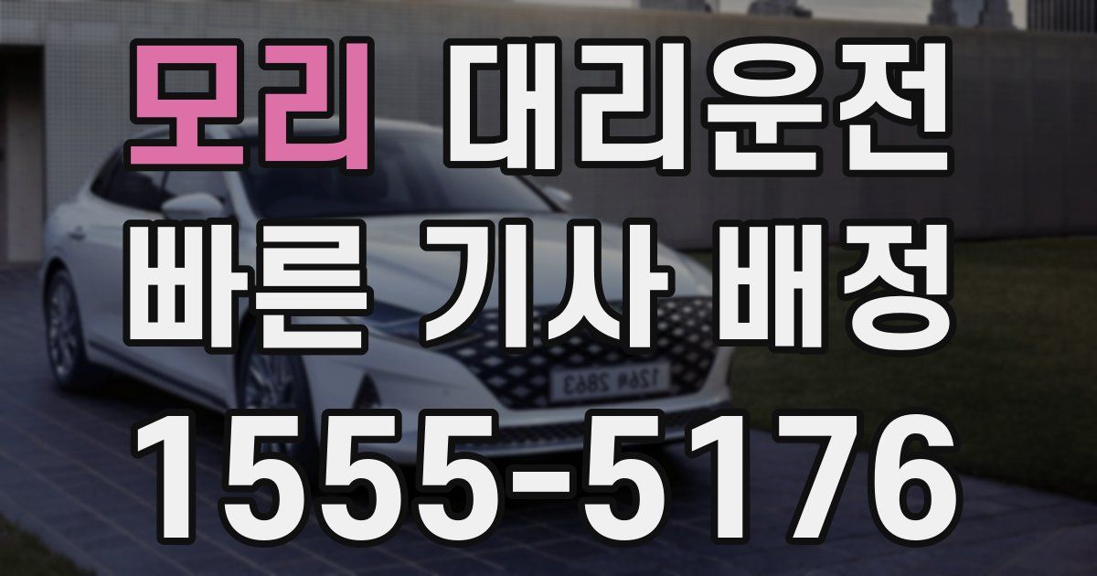 일일대리기사
