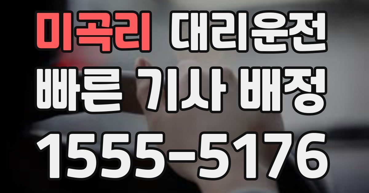 일일대리기사