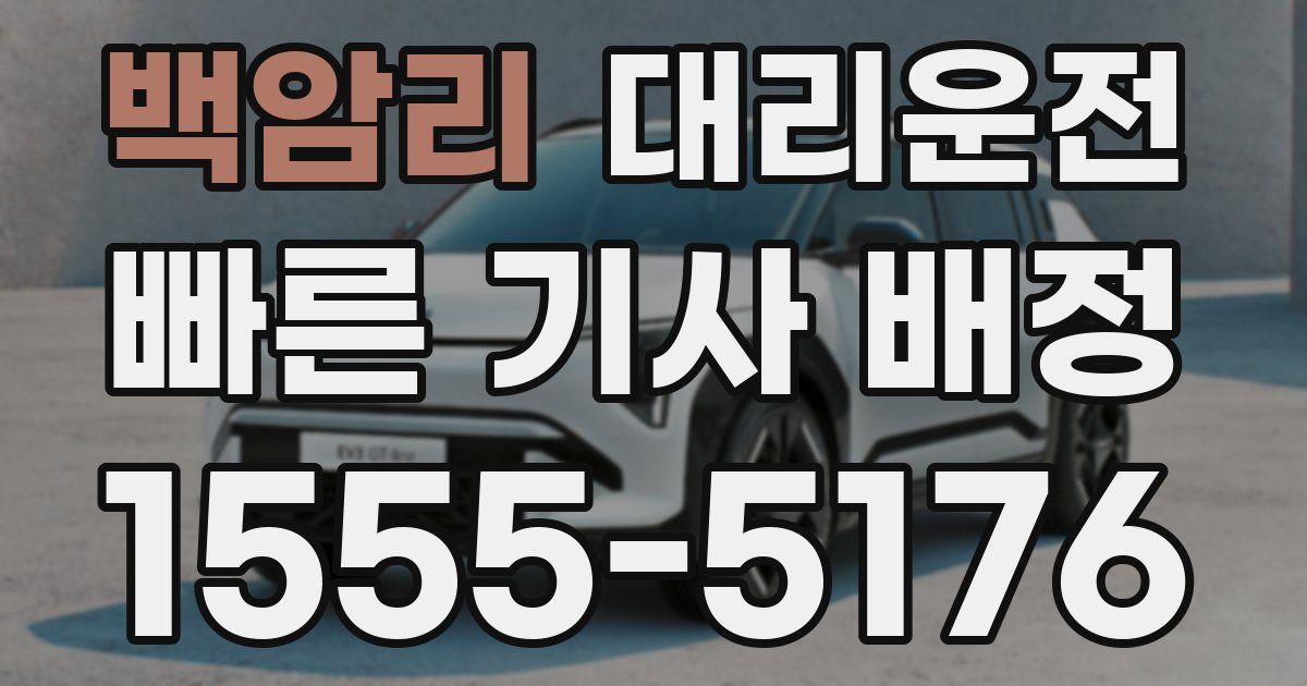 일일대리기사