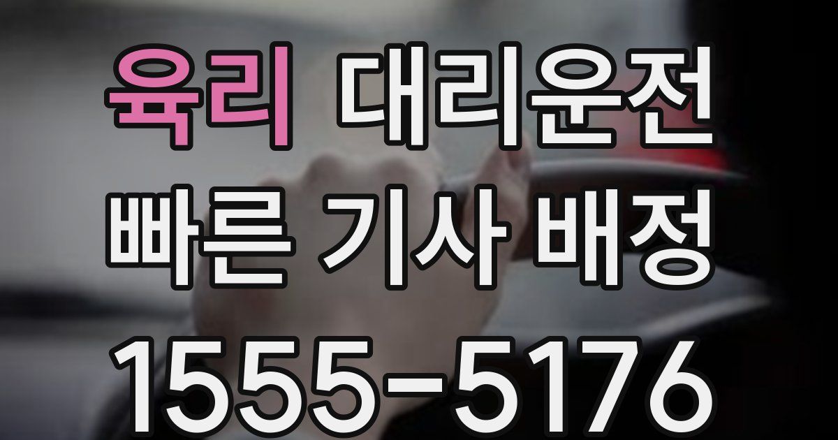 일일대리기사
