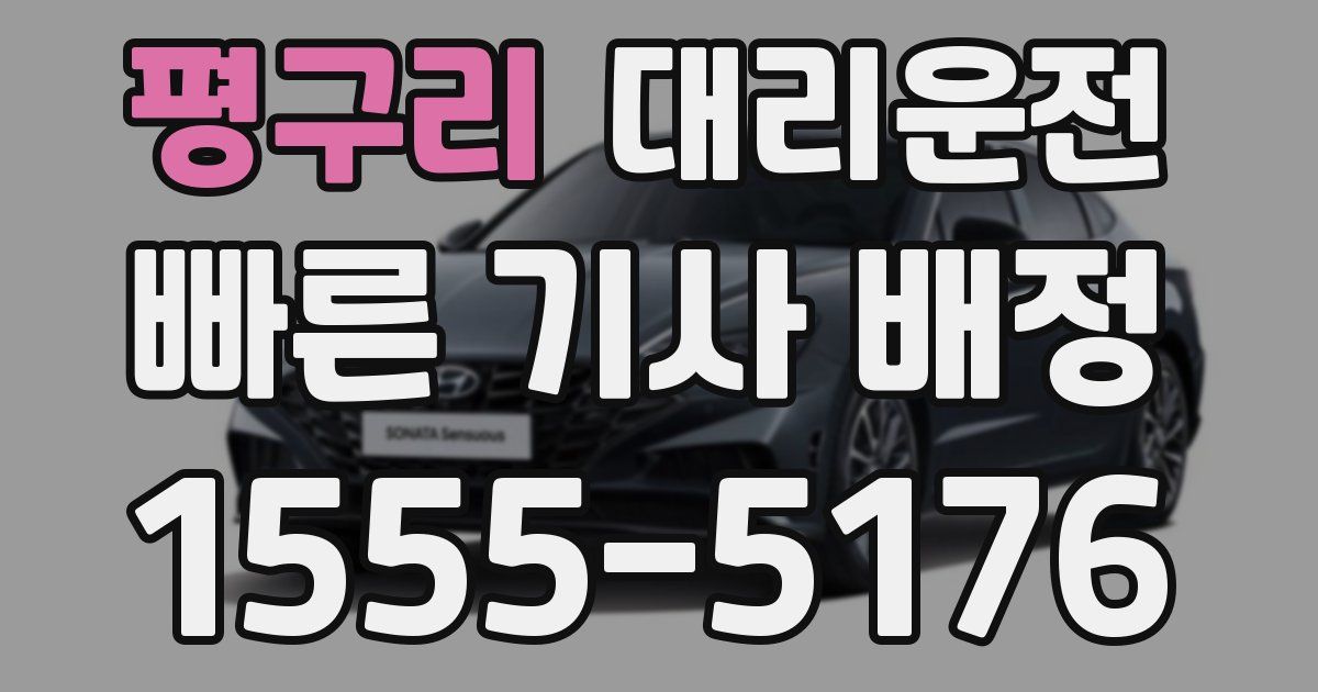 일일대리기사