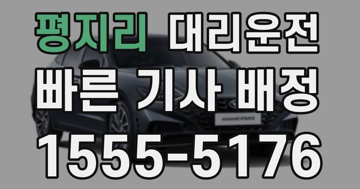 일일대리기사