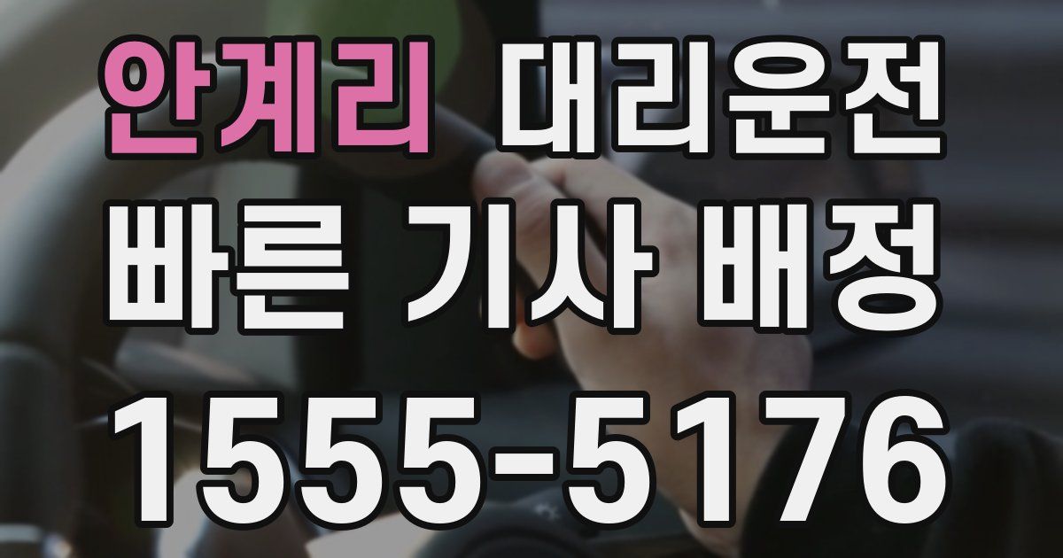 일일대리기사