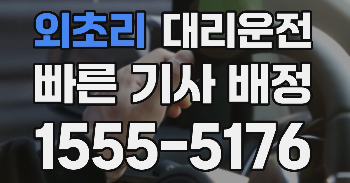 일일대리기사