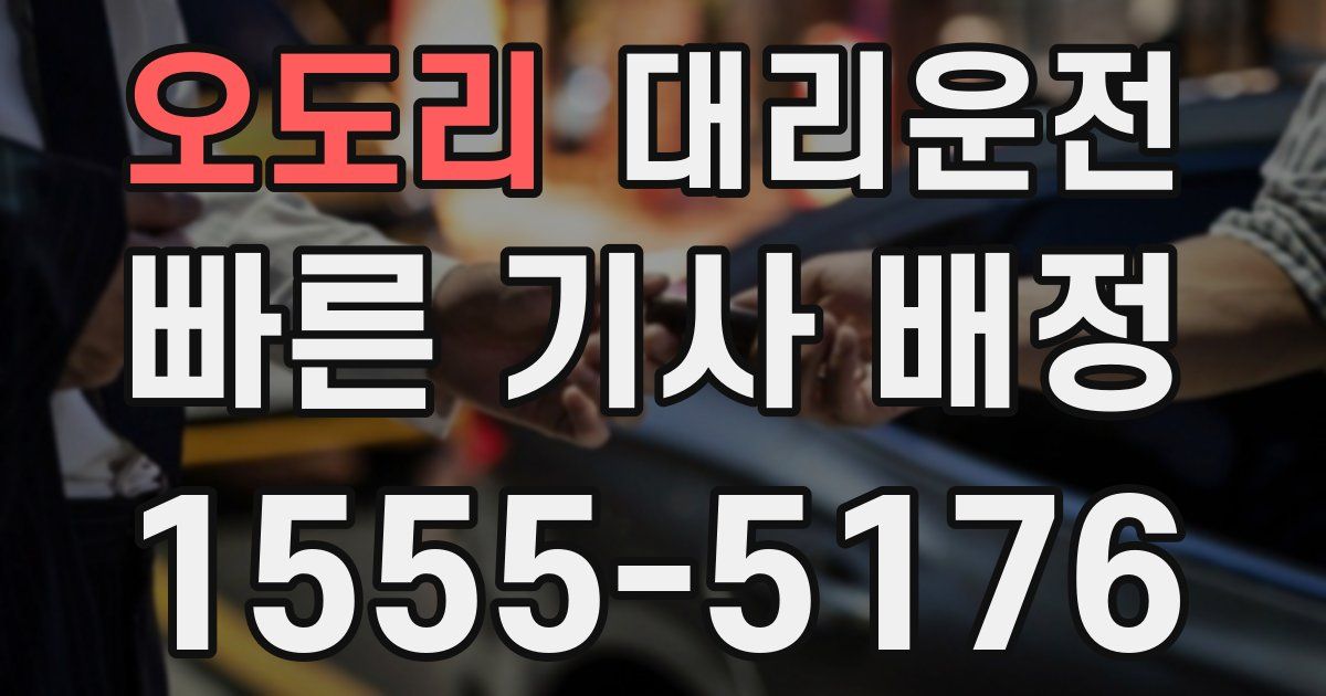 일일대리기사