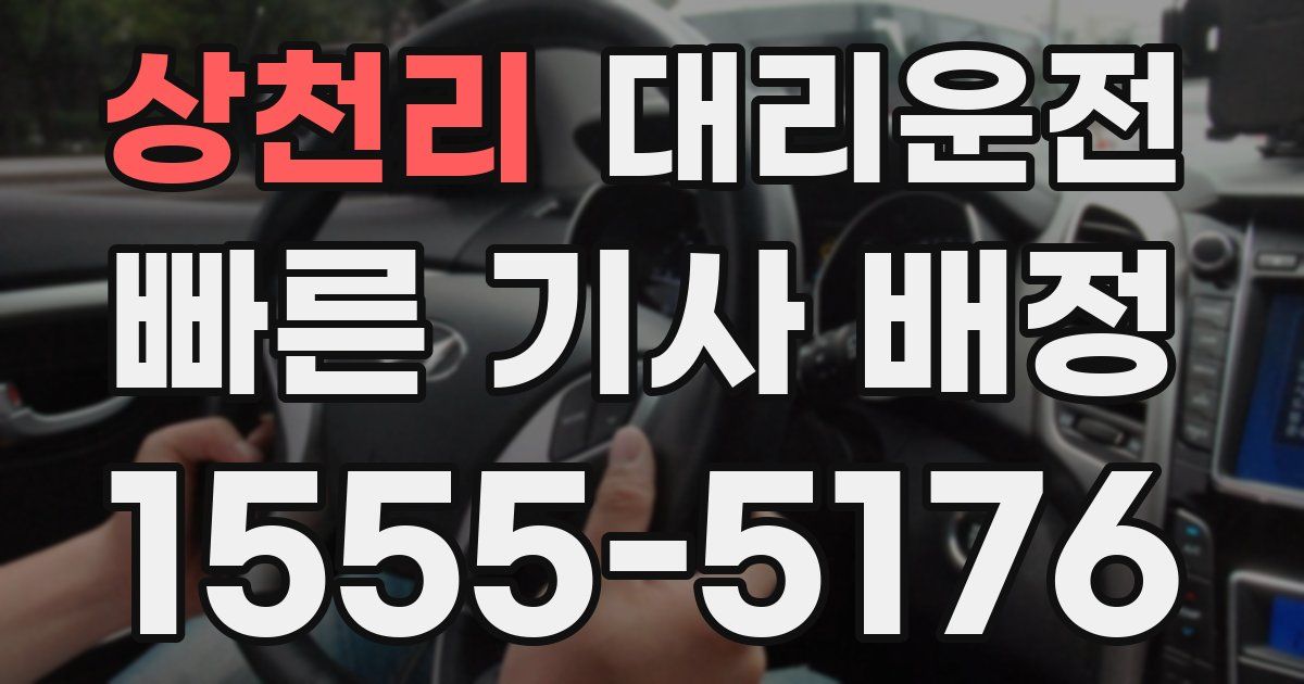 일일대리기사