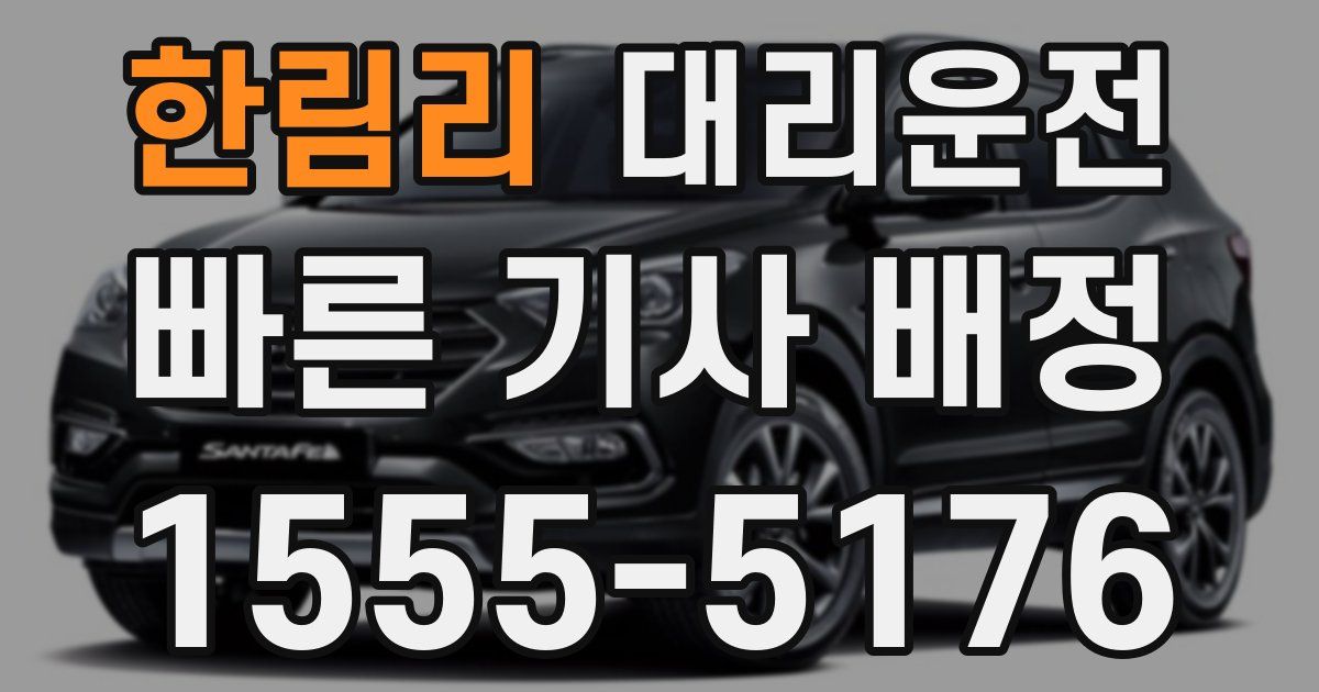 일일대리기사