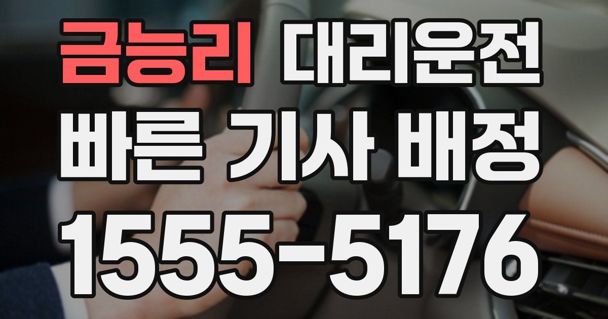 일일대리기사