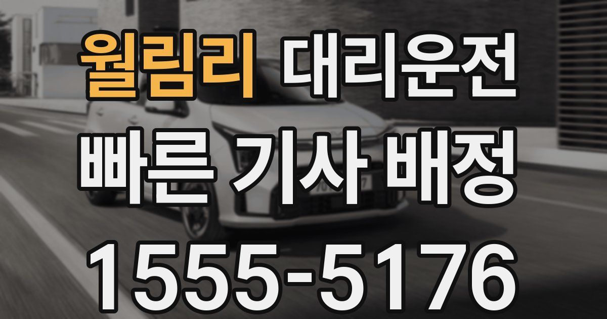 일일대리기사