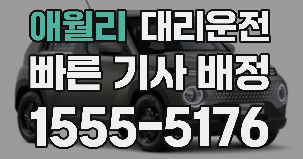 일일대리기사