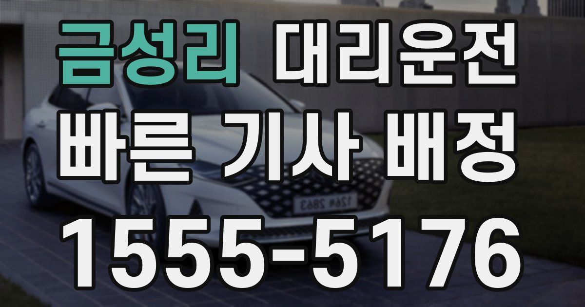 일일대리기사