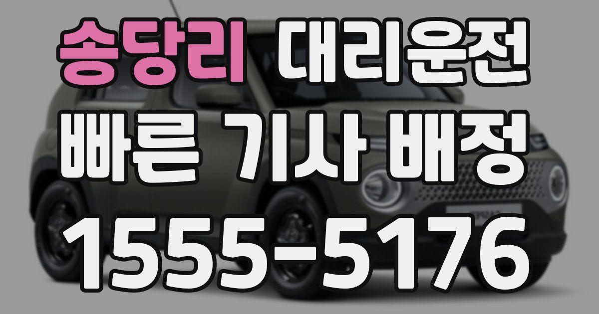 일일대리기사