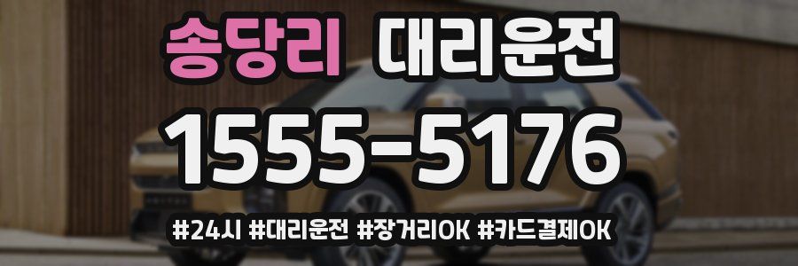 송당리 대리운전