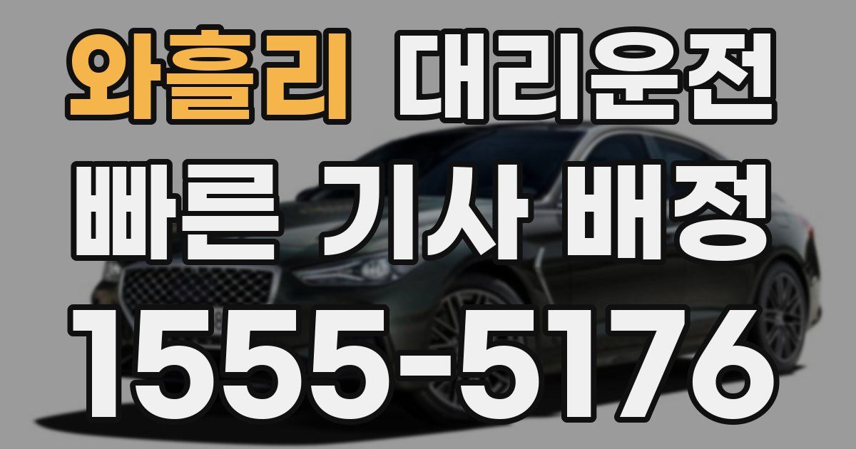 일일대리기사