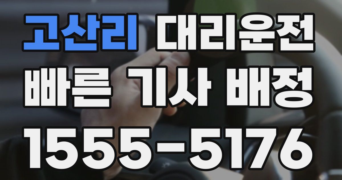 일일대리기사