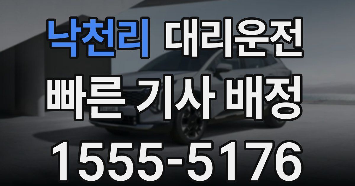 일일대리기사