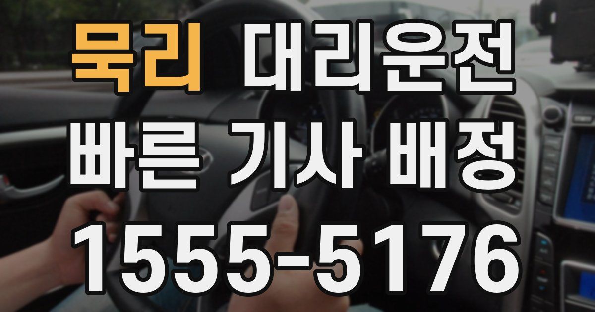 일일대리기사