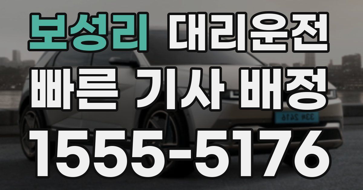 일일대리기사