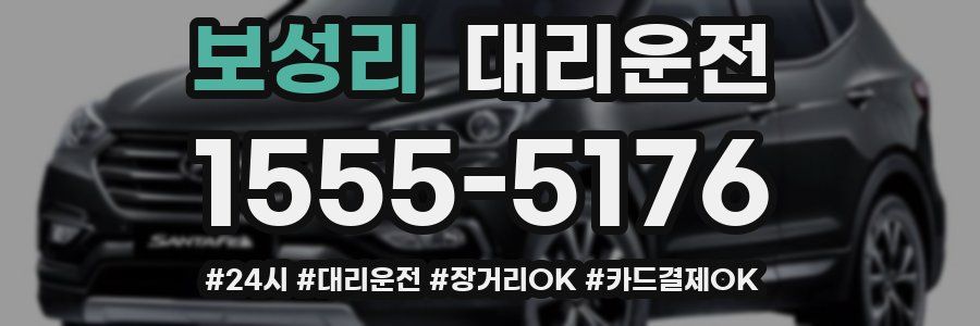 보성리 대리운전