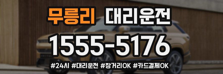 무릉리 대리운전