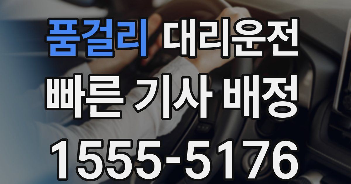 일일대리기사