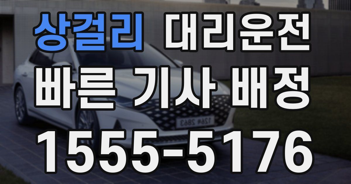 일일대리기사