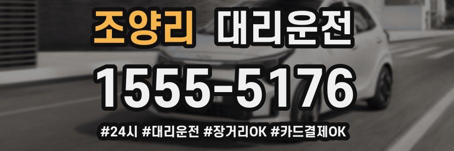 조양리 대리운전