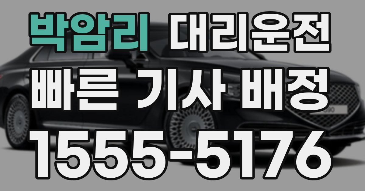 일일대리기사